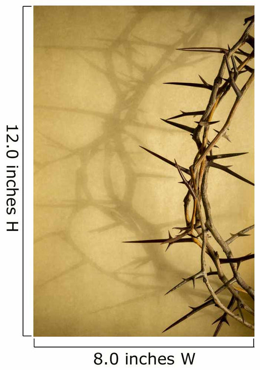 Crown Of Thorns Represents Jesus Crucifixion on Good Friday 