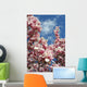 magnolia blossoms against the sky Wall Mural