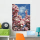 magnolia blossoms against the sky Wall Mural