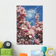magnolia blossoms against the sky Wall Mural