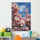 magnolia blossoms against the sky Wall Mural
