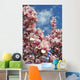 magnolia blossoms against the sky Wall Mural