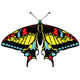 Seamless background of colorful butterflies. Wall Decal