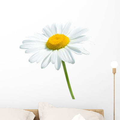 Beautiful Daisy White Wall Decal shown on a wall