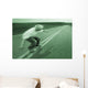 Teenager Skateboarding Down Road Wall Mural