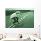 Teenager Skateboarding Down Road Wall Mural