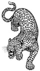 leopard  black white tattoo Wall Decal