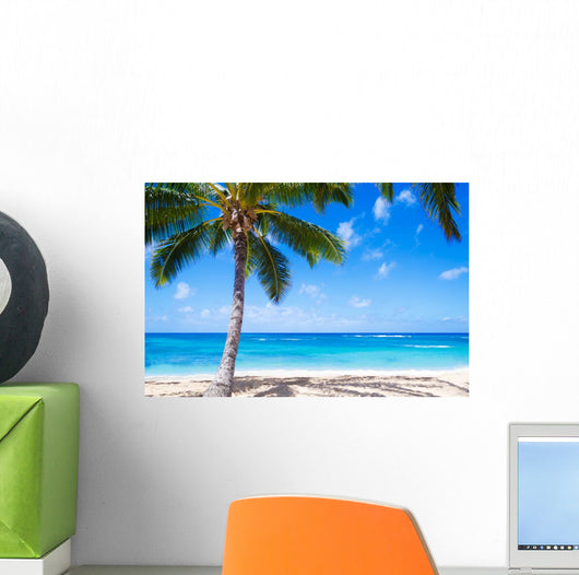 Coconut Palm tree on the sandy beach in Hawaii 