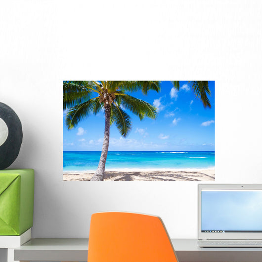 Coconut Palm tree on the sandy beach in Hawaii 