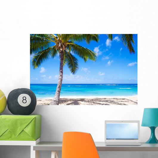 Coconut Palm tree on the sandy beach in Hawaii 