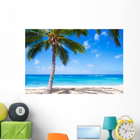 Coconut Palm tree on the sandy beach in Hawaii 