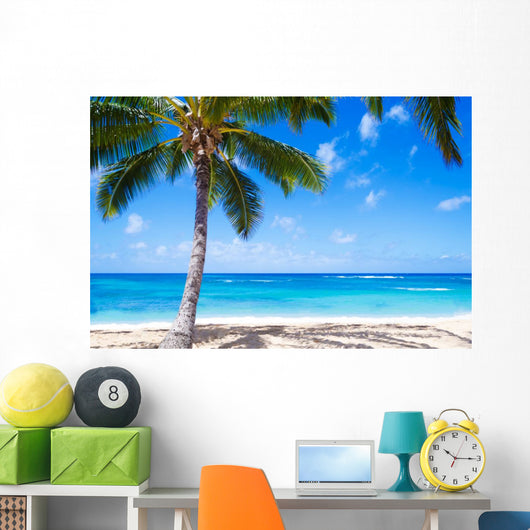 Coconut Palm tree on the sandy beach in Hawaii 