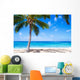 Coconut Palm tree on the sandy beach in Hawaii 