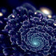 Dark Blue Fractal Flower Digital Artwork Wall Mural