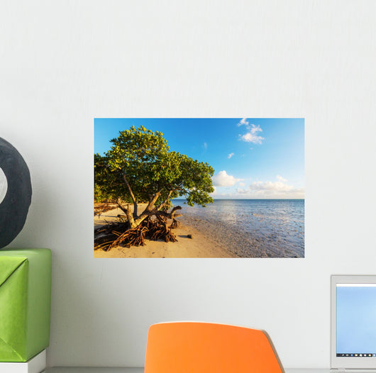 Mangroves 