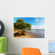 Mangroves 
