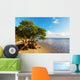 Mangroves 