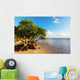 Mangroves 