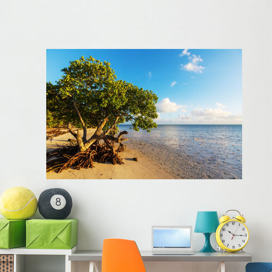 Mangroves 