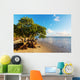 Mangroves 