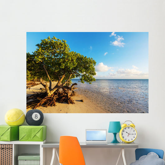 Mangroves 