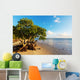 Mangroves 