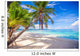 Coconut Palm tree on the white sandy beach Wall Mural