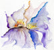 Flying watercolor Wall Mural