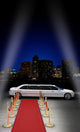 Limousine Parked Wall Mural