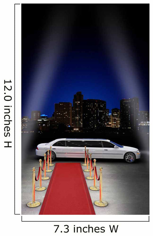 Limousine Parked Wall Mural