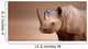 Black Rhinoceros portrait 