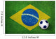 Football World Cup World Cup 2014 Brazil - flag on lawn 