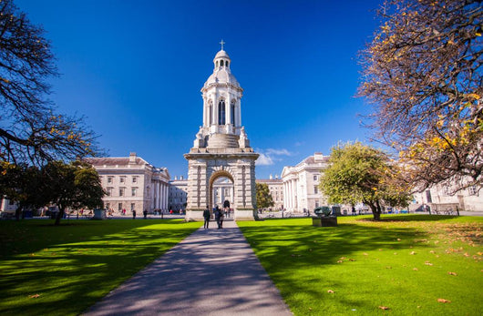 Trinity College Dublin Wall Decal