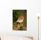 Robin on Twig Wall Mural