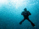 Aquaculture Sub Wall Decal