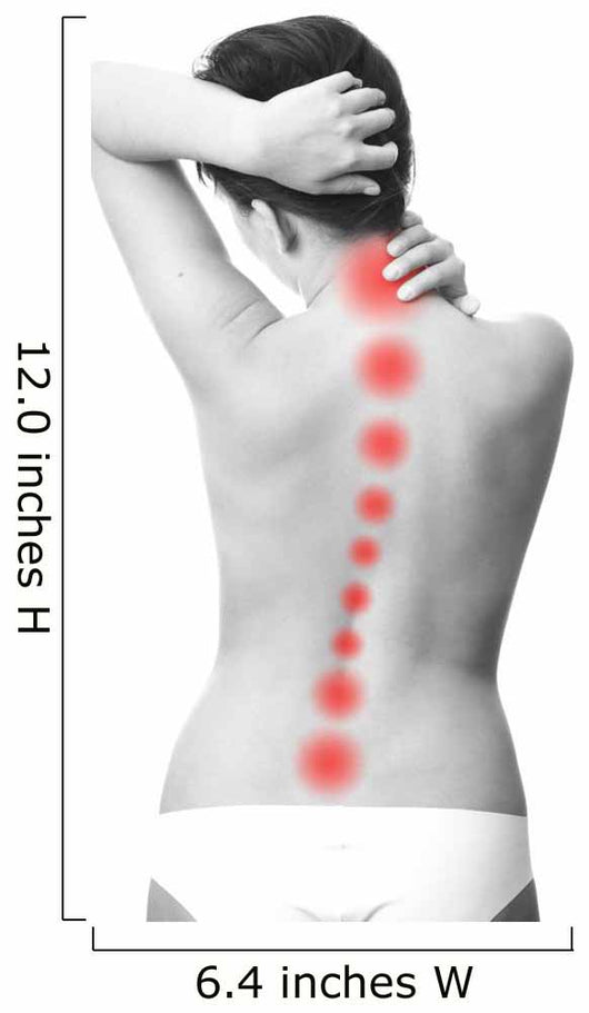 Pain in back of women 