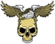 Eagle and Skull 