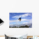 Snowboard (in the air) Wall Mural