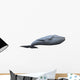 Whale Wall Decal