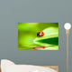 Ladybug Balanced on a Bright Green Leaf Wall Mural