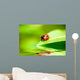 Ladybug Balanced on a Bright Green Leaf Wall Mural