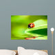 Ladybug Balanced on a Bright Green Leaf Wall Mural