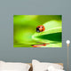 Ladybug Balanced on a Bright Green Leaf Wall Mural