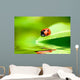Ladybug Balanced on a Bright Green Leaf Wall Mural