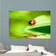 Ladybug Balanced on a Bright Green Leaf Wall Mural