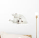 Bichon Frise Dog Resting 