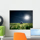 Soccer Wall Mural