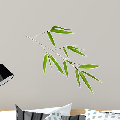 Illustration with Green Bamboo shown on a wall