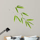 illustration with isolated green bamboo branch 