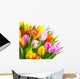 Tulip Bouquet Against a White Background 